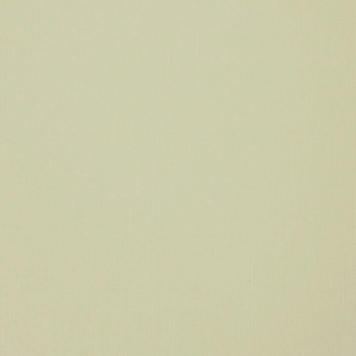 Fakro ARF rolgordijn (052) 50x62 cm