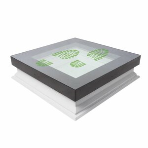 Fakro platdakraam beloopbaar DXW 120x120 cm Fakro platdakraam beloopbaar DXW 120x120 cm